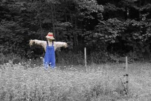 Chawton scarecrow