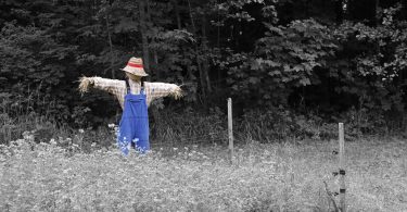 Chawton scarecrow